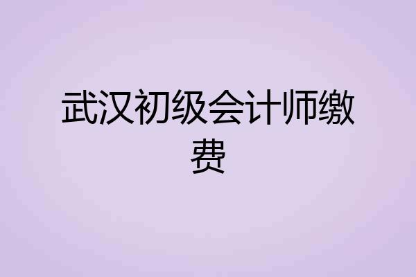 武汉初级会计师缴费
