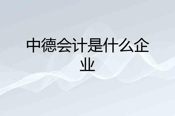 中德会计是什么企业