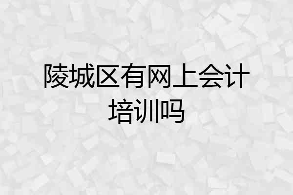 陵城区有网上会计培训吗