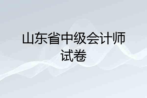 山东省中级会计师试卷