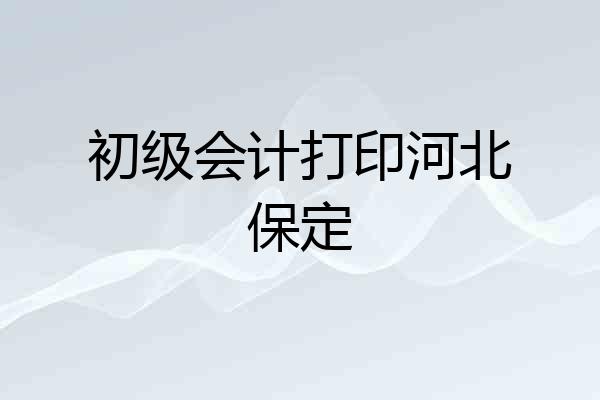 初级会计打印河北保定
