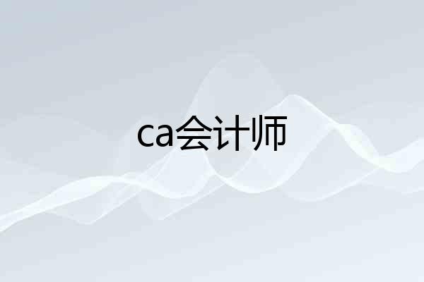 ca会计师