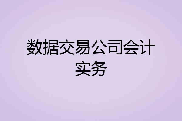 数据交易公司会计实务