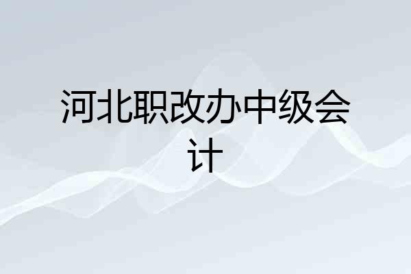 河北职改办中级会计