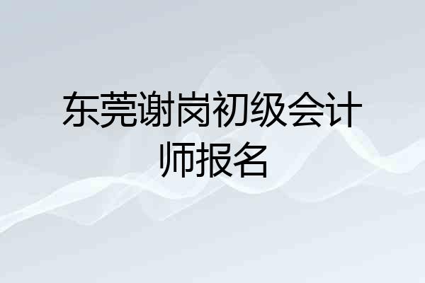 东莞谢岗初级会计师报名