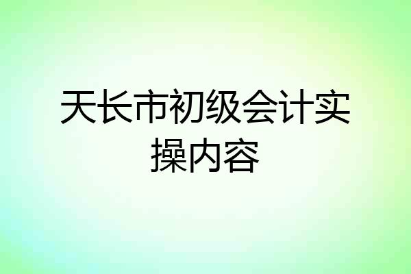 天长市初级会计实操内容