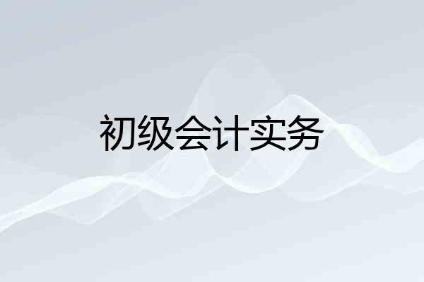 初级会计实务