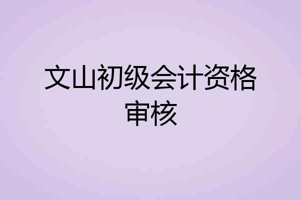 文山初级会计资格审核