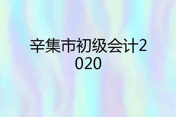 辛集市初级会计2020