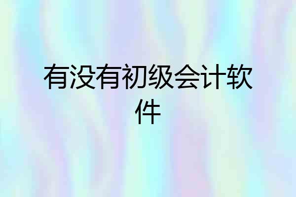 有没有初级会计软件