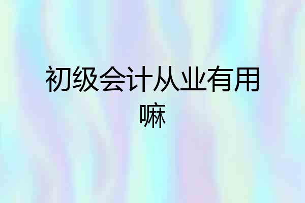 初级会计从业有用嘛