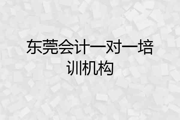 东莞会计一对一培训机构