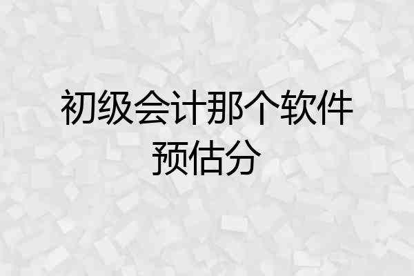 初级会计那个软件预估分