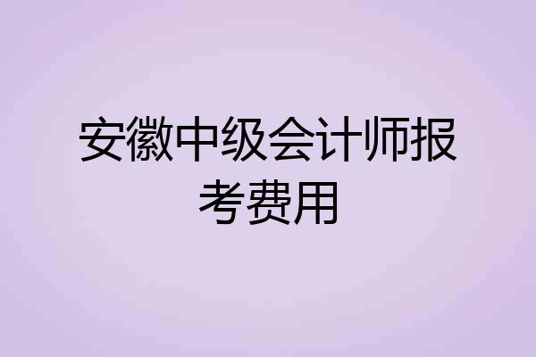 安徽中级会计师报考费用