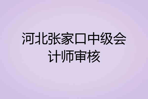 河北张家口中级会计师审核