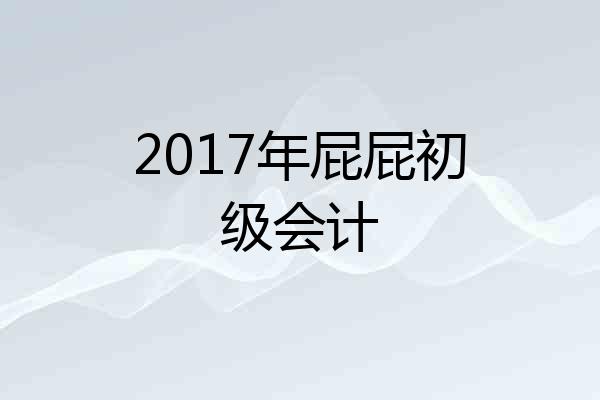 2017年屁屁初级会计