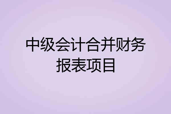 中级会计合并财务报表项目