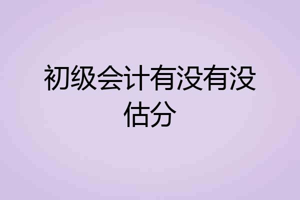 初级会计有没有没估分