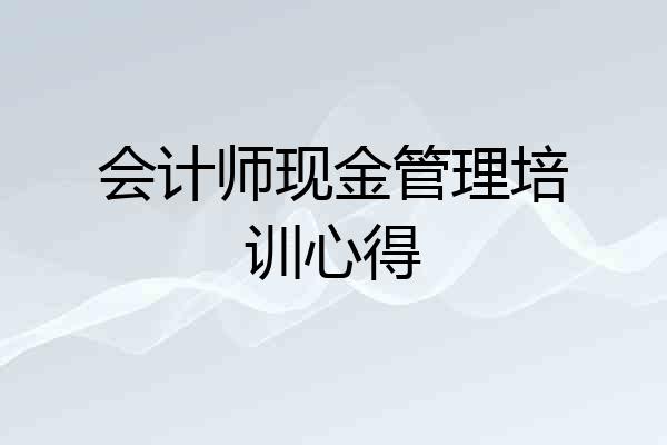 会计师现金管理培训心得