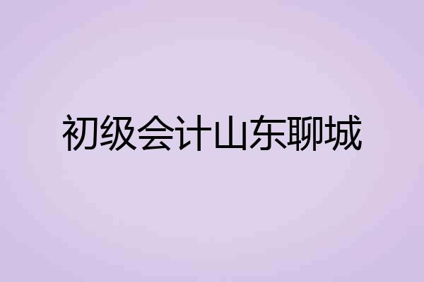初级会计山东聊城