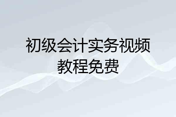 初级会计实务视频教程免费