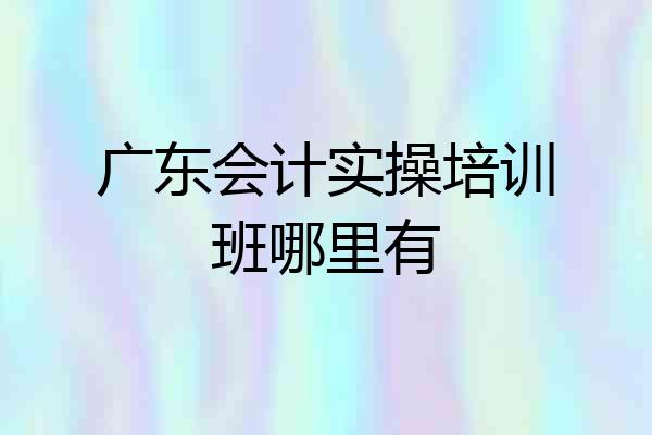 广东会计实操培训班哪里有