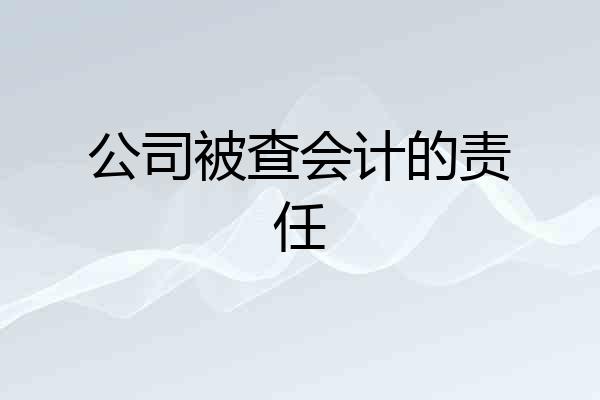 公司被查会计的责任