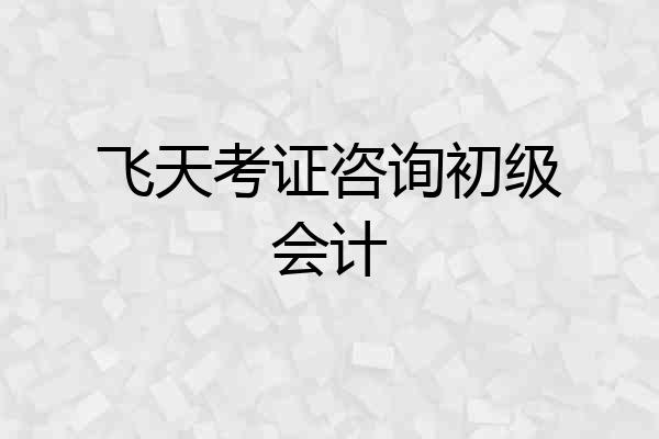 飞天考证咨询初级会计