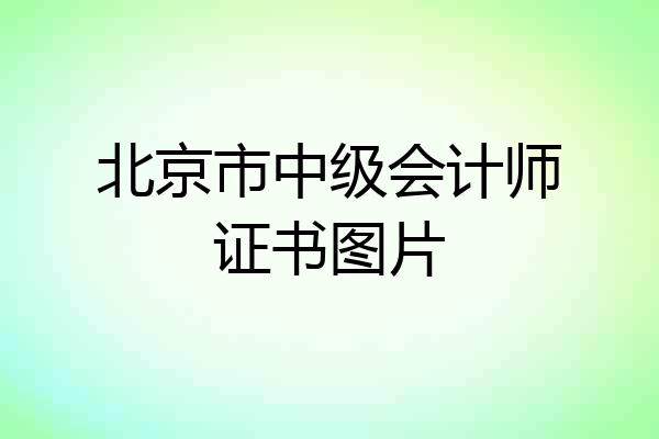 北京市中级会计师证书图片