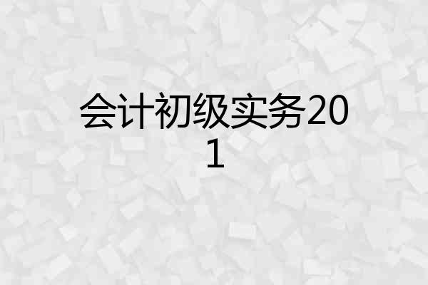 会计初级实务201