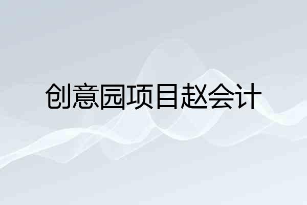 创意园项目赵会计