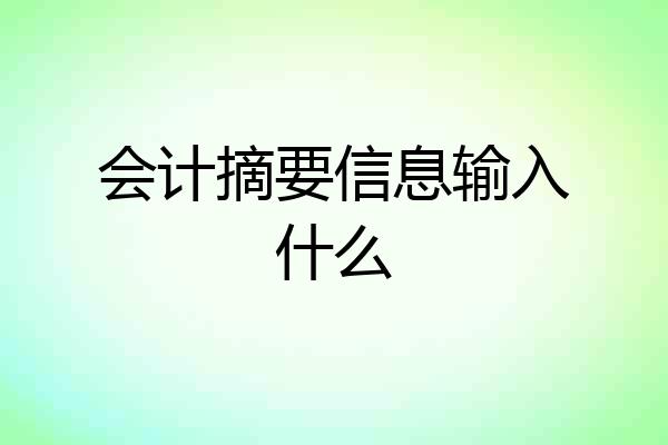 会计摘要信息输入什么