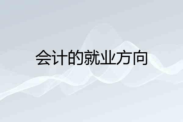 会计的就业方向