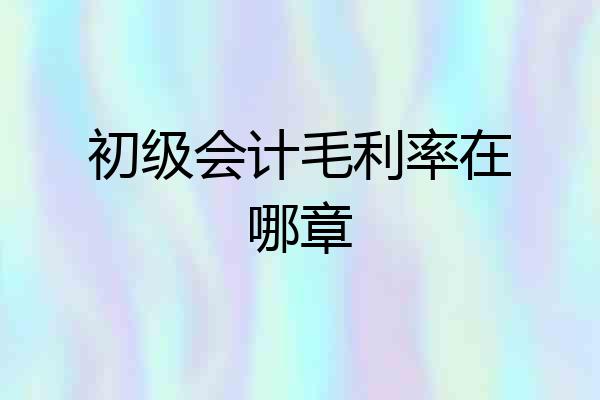 初级会计毛利率在哪章
