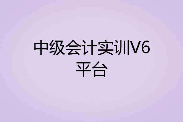 中级会计实训V6平台