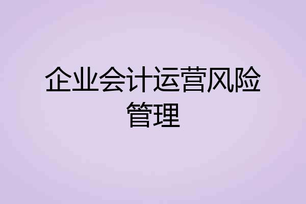 企业会计运营风险管理