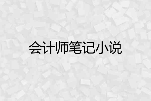 会计师笔记小说