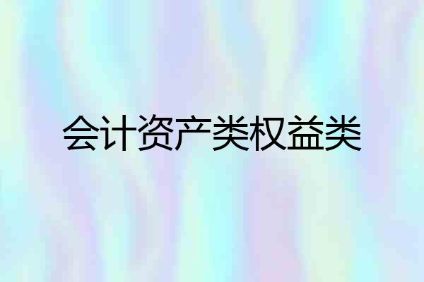 会计资产类权益类
