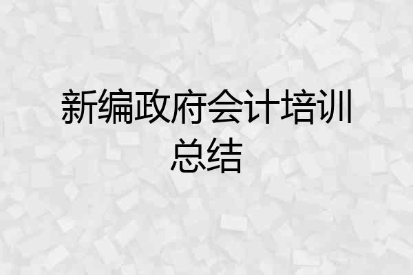 新编政府会计培训总结