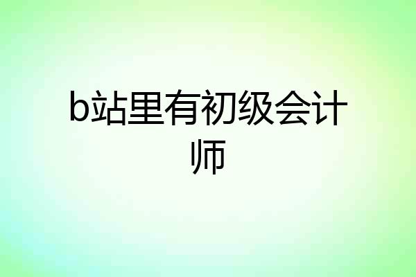 b站里有初级会计师