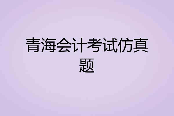 青海会计考试仿真题
