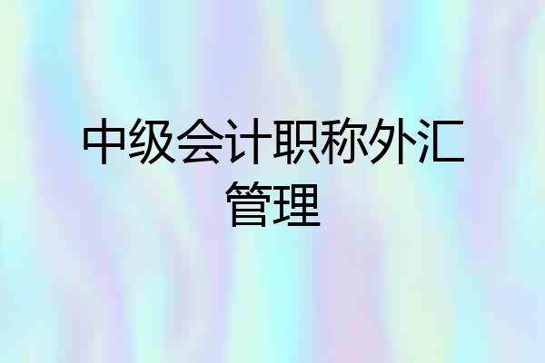 中级会计职称外汇管理