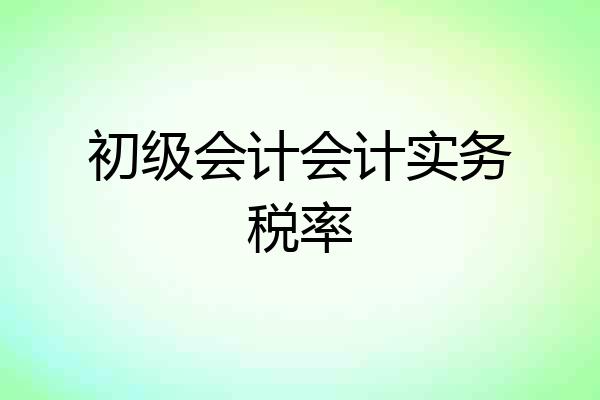 初级会计会计实务税率