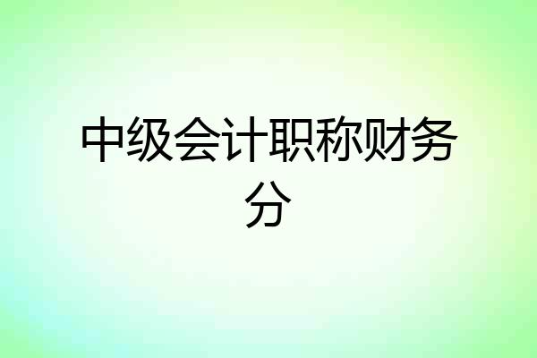 中级会计职称财务分