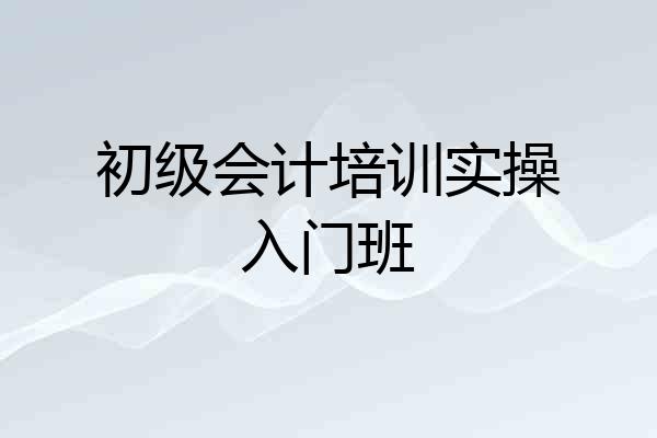 初级会计培训实操入门班