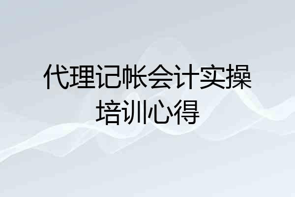 代理记帐会计实操培训心得