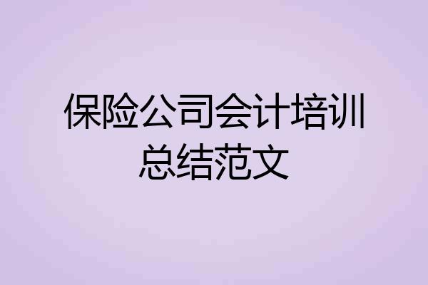 保险公司会计培训总结范文