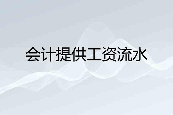 会计提供工资流水