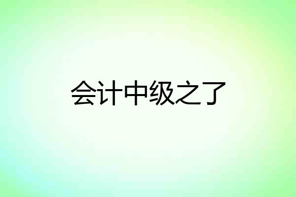 会计中级之了