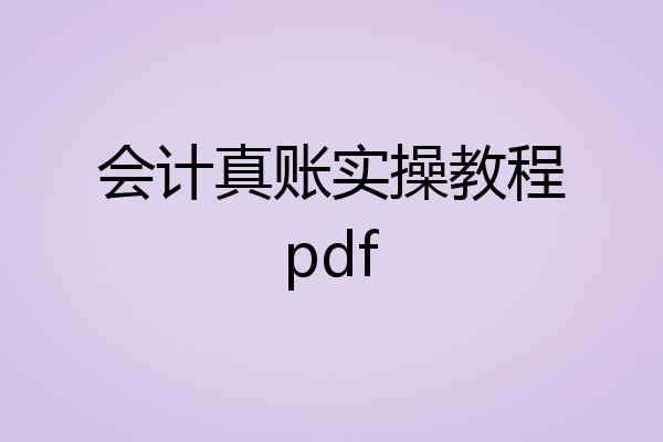 会计真账实操教程pdf